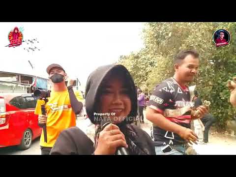 TENDA BIRU LOSARANG VOC DEVI MANUAL VERSION YANG SEDERHANA ANGGA PUTRA