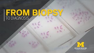 From Biopsy to Diagnosis screenshot 4