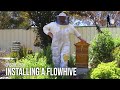 Urban Beekeeping for Beginners: Backyard Beekeeping using a Flow Hive Set Up | The Bush Bee Man