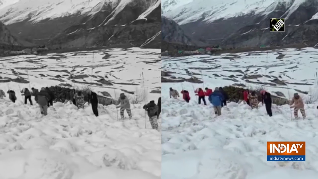 ITBP`s search operation enters 8th day for youth missing in avalanche-hit Lahaul village