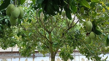 Familiefeest op het platteland #Warme momenten met uw dierbaren.