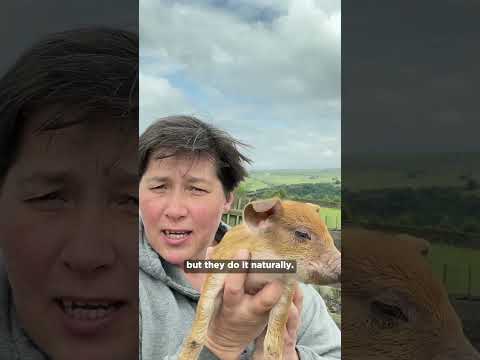 Working with nature #shorts