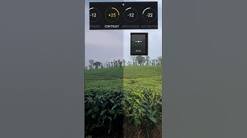 Moody Green Color grading in VN #colorgrading #vn #coloring #davinciresolve #colorist #shorts