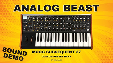 Moog Subsequent 37 – Analog Beast [SOUNDSET] | Sound Demo