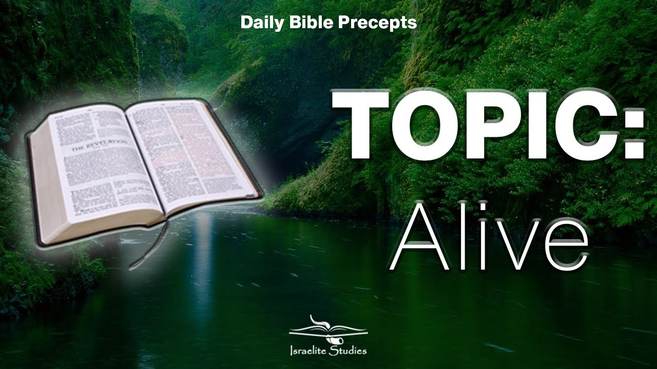 Daily Bible Precepts | Word Topic: Alive - YouTube