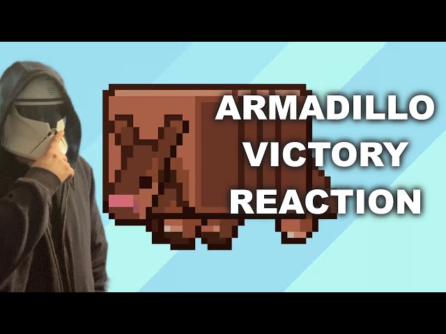 Juju  on X: Minecraft Live 2023's Second Mob Vote Armadillo Concept  #MinecraftLive #Minecraft  / X