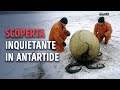 Gli scienziati hanno trovato un misterioso uovo di mostro marino in Antartide