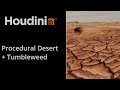 Houdini Procedural Desert + Tumbleweed
