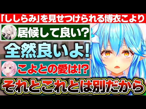ジジとの関係にケジメをつけた結果、ナチュラルに『ししらみ』を見せつけられる博衣こより【ホロライブ/雪花ラミィ/博衣こより/獅白ぼたん/天音かなた/戌神ころね】