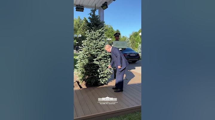 Шавкат Мирзиёев ва Владимир Путин биргаликда дарахт экдилар