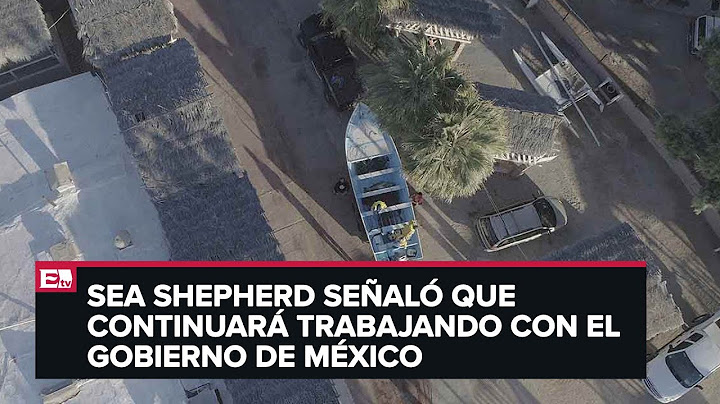 Captan persecución de pescadores con red ilegal de Totoaba
