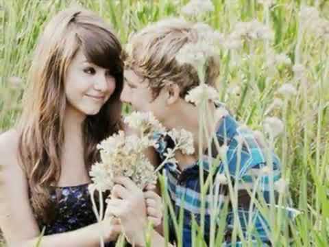 هشام الحاج شفت الورد