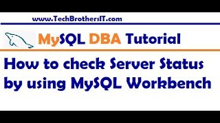 How to check Server Status by using MySQL Workbench - MySQL DBA Tutorial