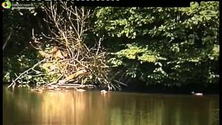 Les 10 ans du Parc naturel des deux Ourthes