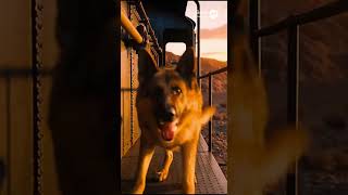 Burning Train Saved by Heroic German Shepherd #dogs #rescue #animal #aishorts #animalrescue