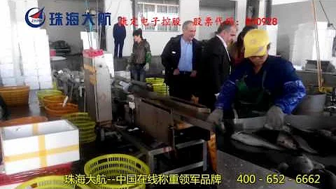 High speed weight sorting machine for seafood and fruits from DaHang Automation