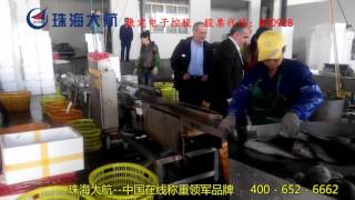 Famous High speed weight sorting machine for seafood and fruits from DaHang Automation Net Worth