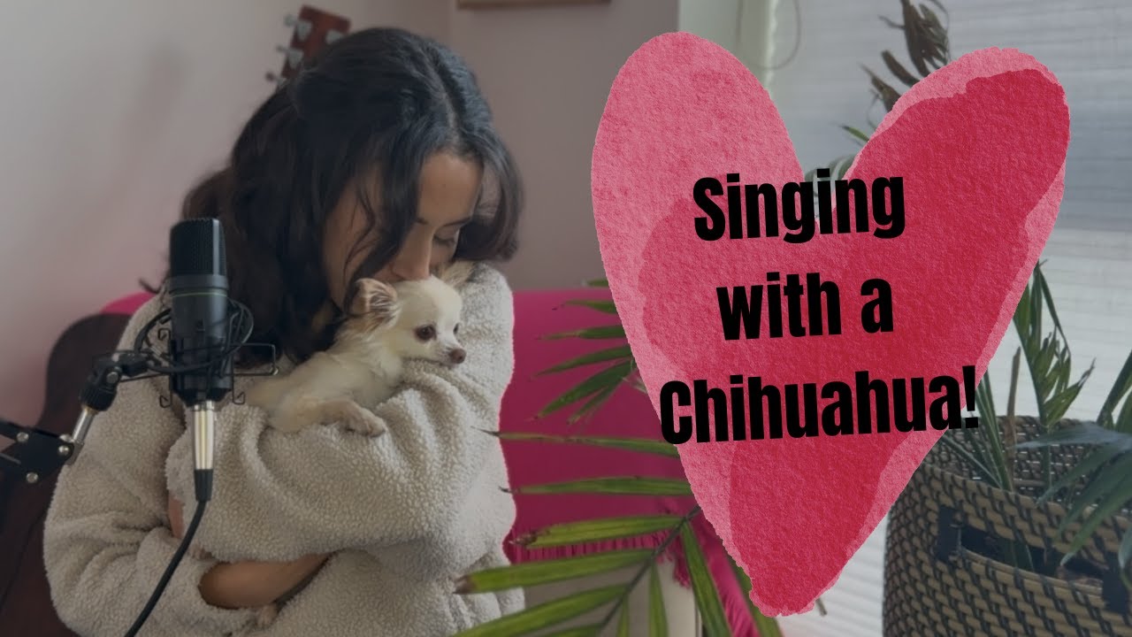 Bubbly cover (Colbie Caillat) | Jennifer Dahl