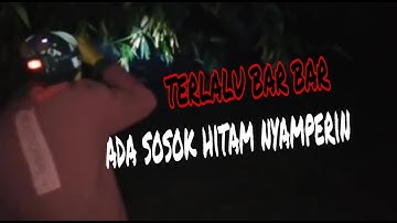 explore misteri pohon bambu angker