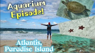 All Aquariums of Atlantis, Paradise Island in the Bahamas