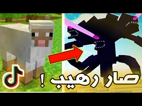 اخترعت اغبى اختراع كوماند بلوك يخلي الخروف اقوى وحش في ماين كرافت