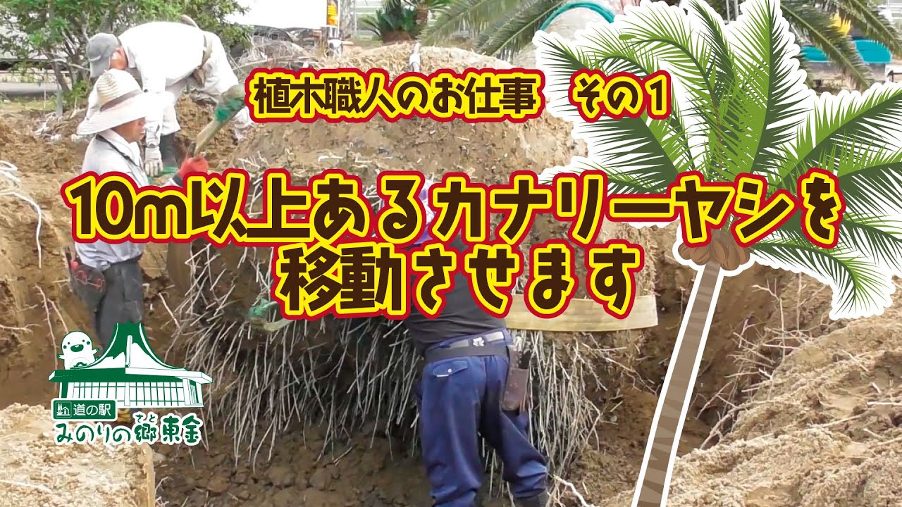 【道の駅 みのりの郷東金】