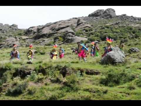 Acuvidem Tinkus 2012