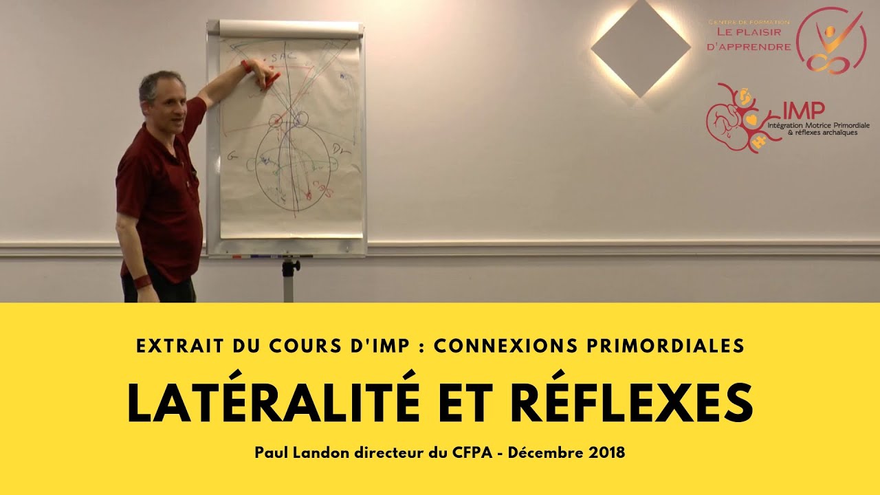 La latéralité et les réflexes archaïques