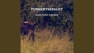 Video thumbnail of "Punkentsefaliit - Üks päev korraga"