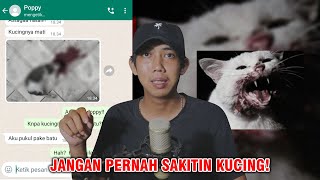 JANGAN PERNAH SAKITIN KUCING 😱 | CHAT HISTORY HORROR INDONESIA TERSERAM