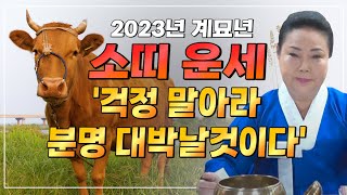 2023년 대박나는띠 계묘년에 금전,재물 모두 대박나는 소띠운세! 천운이 왔네요! 61년생 73년생 85년생…