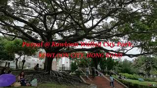 Kowloon walled city park, ...