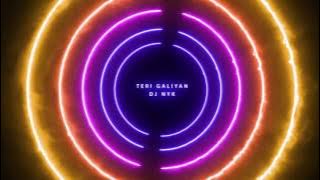 Teri Galiyan - DJ NYK