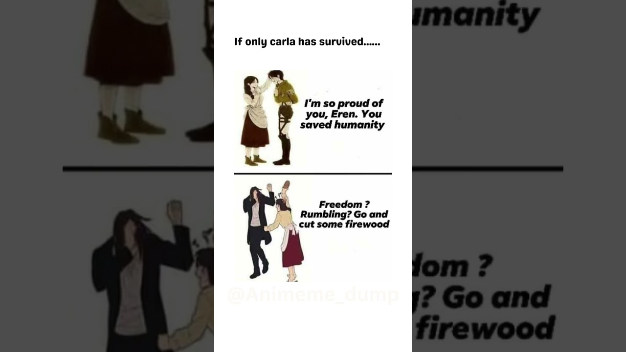 Aot in parallel universe 