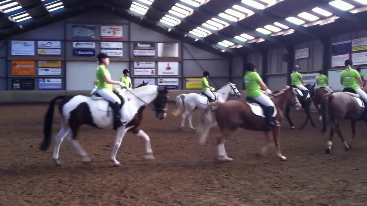 Carrousel Manege De Groote Wielen