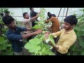 Faculty Recap 2025 | Agriculture at Medicaps University | Top Agriculture Education in India