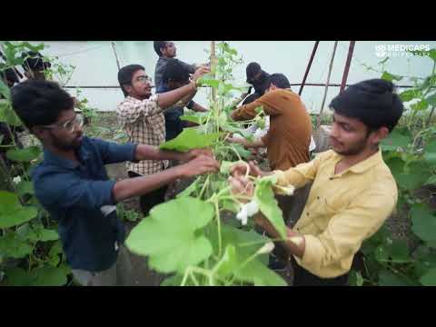 Medicaps University Video