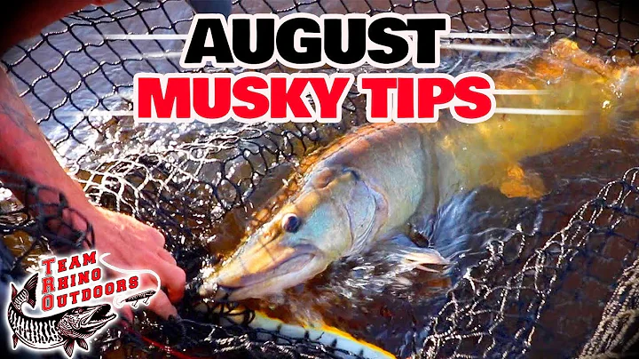 Musky Fishing Basics - August Musky Fishing Tips