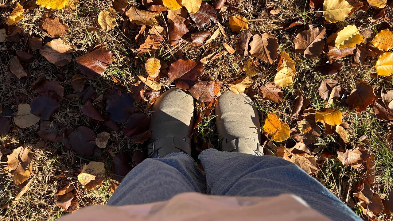 Slow Morning Fall a fall slow morning.๐ - YouTube