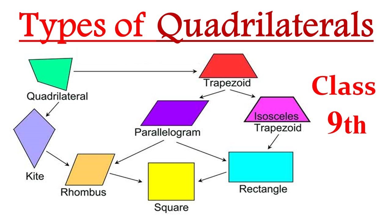 Types of Quadrilateral Class 9 | Types of Quadrilaterals and their