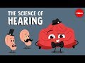 The science of hearing  douglas l oliver