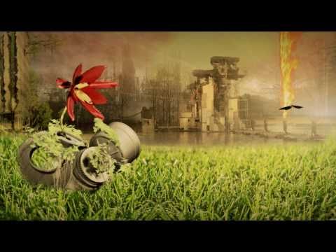 Ranker Video