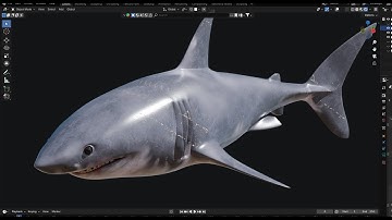 Animal 3D modeling process. (Shark) Blender timelapse