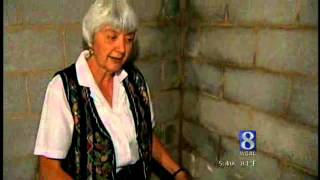 Mold Potential Problem In Flood - Damaged Homes