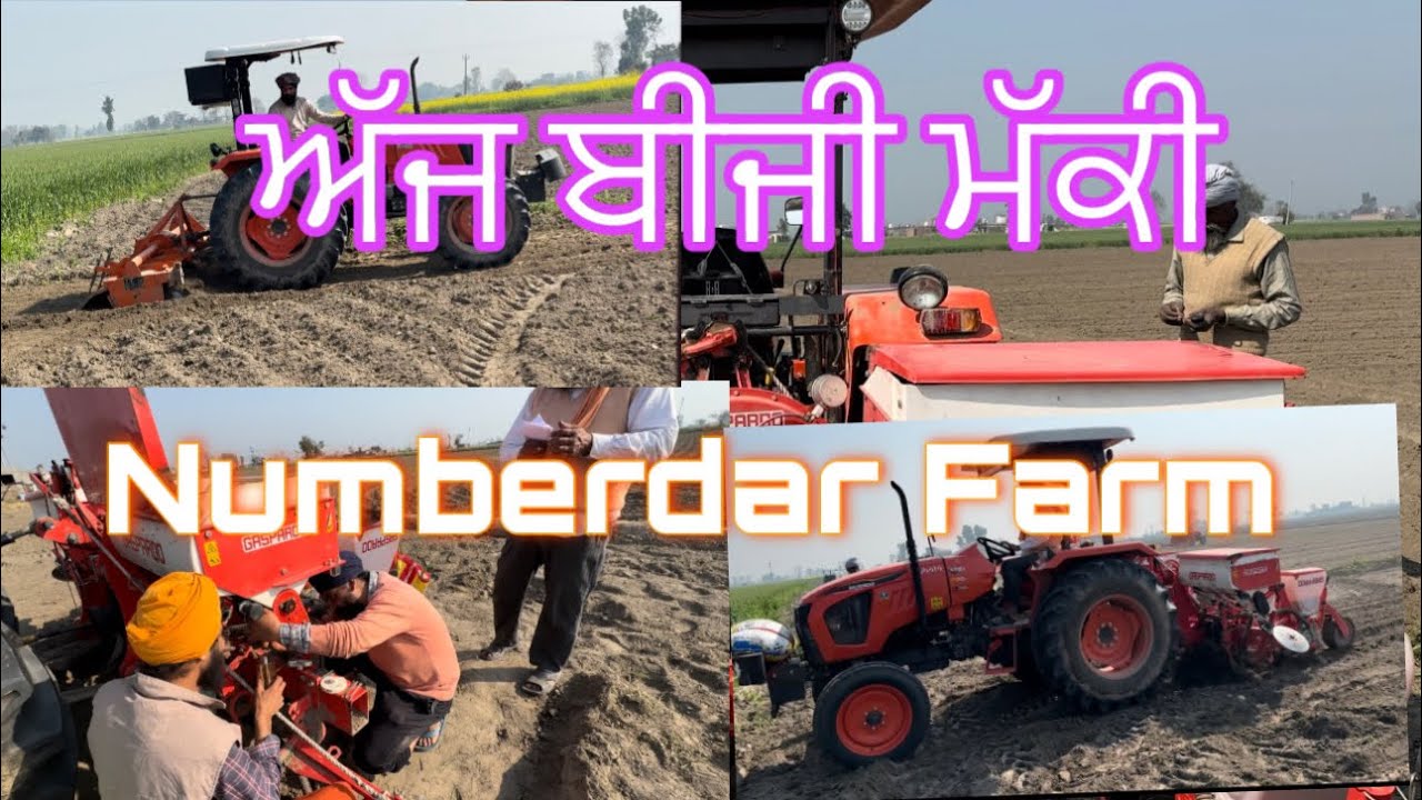Numberdar ਅੱਜ ਬੀਜੀ ਮੱਕੀ ਵੇਖੋ ਸਾਰਾ Vlog Numberdar Farm - YouTube