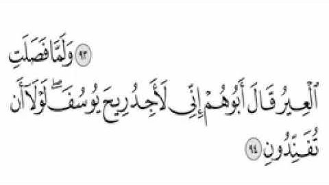 القران الكريم الجزء الثالث عشر الجزء 13 (بدون اعلانات)