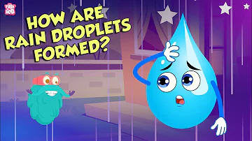 How Are Rain Droplets Formed? | WATER CYCLE | The Dr Binocs Show | Peekaboo Kidz