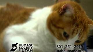 Garfunkel A#051801.mp4