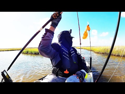 I traveled 150 MILES to the Galveston marsh to catch this...