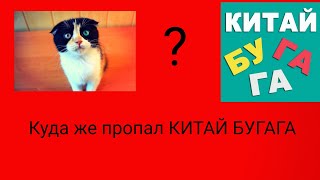 куда пропал канал Китай БУГАГА? что случилось с лаки,и что случилось с серхио???